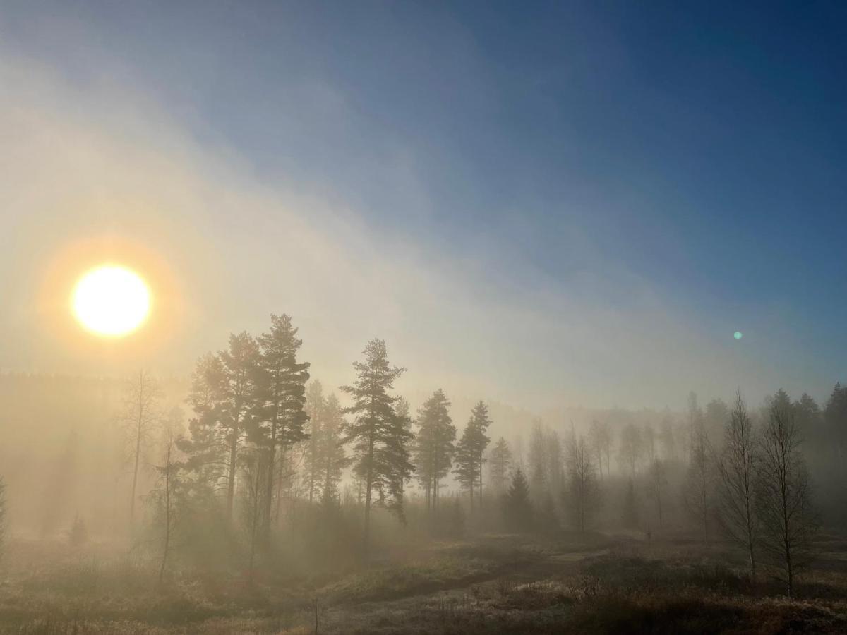 Glamping Tent In A Forest, View Luxury tent Bjuraker (Hudiksvall)