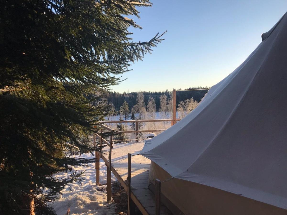 Glamping Tent In A Forest, View Bjuraker (Hudiksvall)
