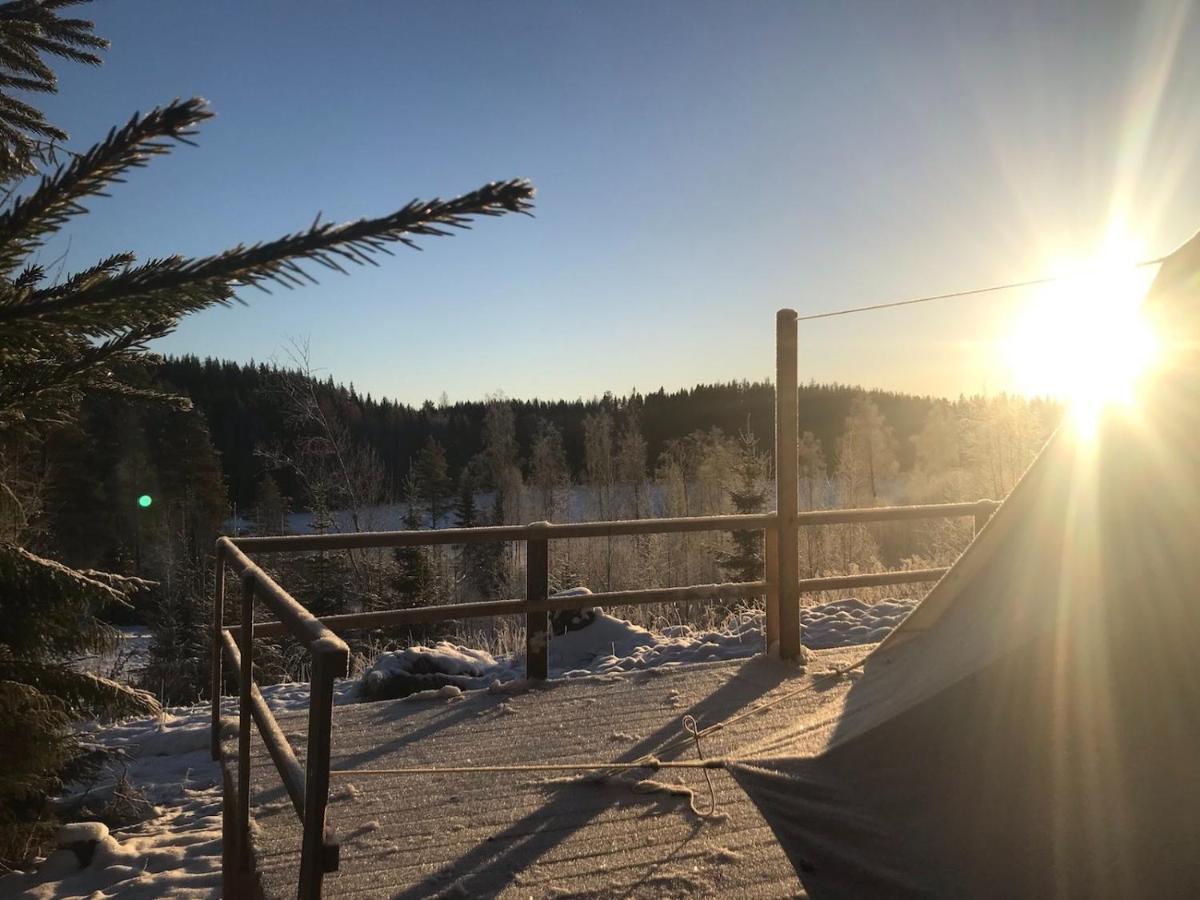 Glamping Tent In A Forest, View Luxury tent *