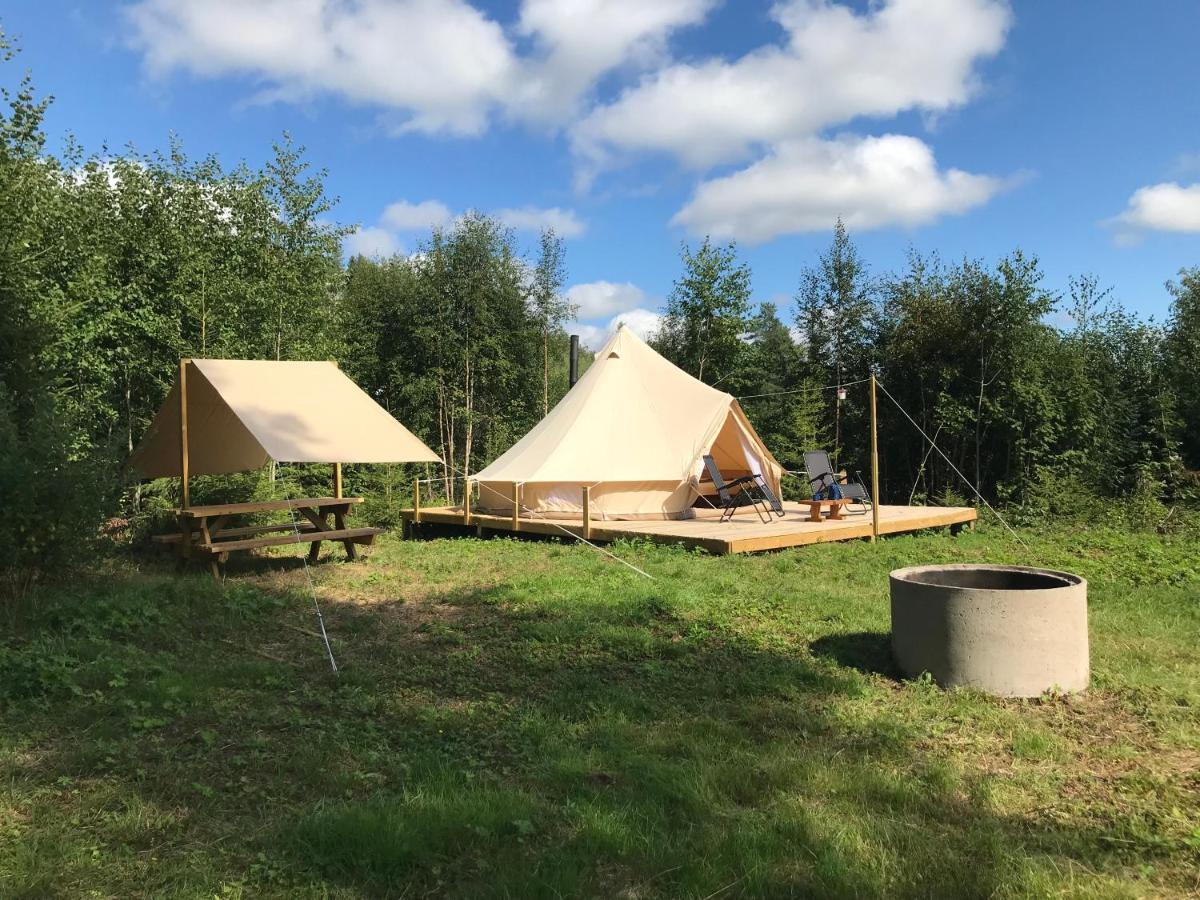 Luxury tent Glamping Tent In A Forest, View *