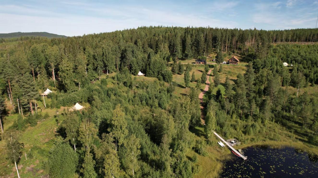 Glamping Tent In A Forest, View